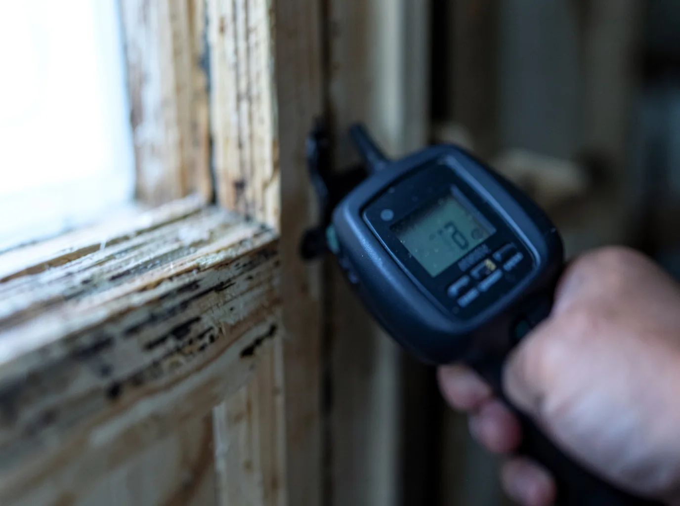 Commercial Water Damage Restoration in Coupeville, WA